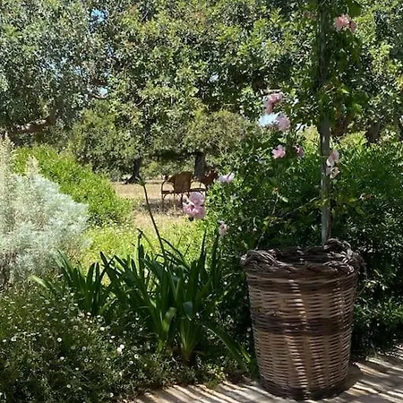 Beautiful Baglio In Sicily, Scicli, Donnalucata