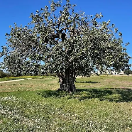 Beautiful Baglio In Sicily, Scicli, Donnalucata * Scicli
